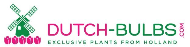 Dutch-bulbs.com - Exclusieve Bloembollen en Planten uit Holland